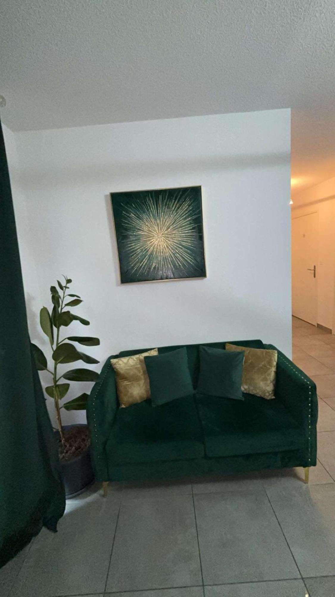 Suite Jacuzzi "Spa Privatif " Appartement Jacuzzi Toulouse Exterior foto