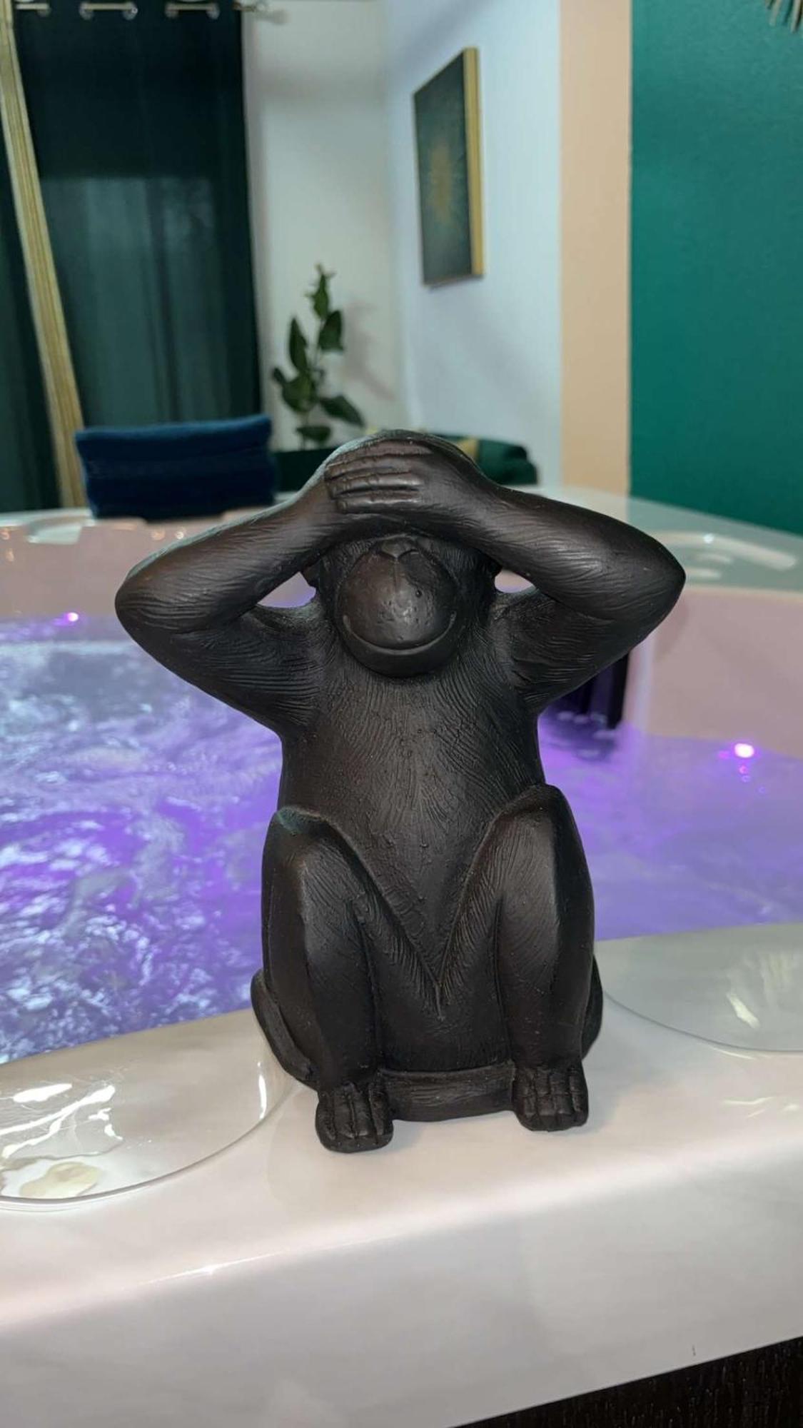 Suite Jacuzzi "Spa Privatif " Appartement Jacuzzi Toulouse Exterior foto